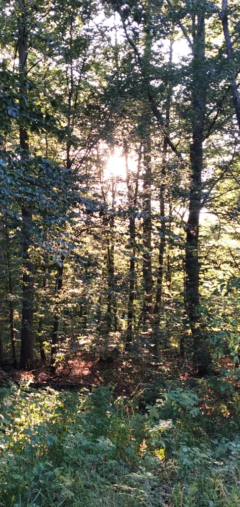 Condolence image of Erika