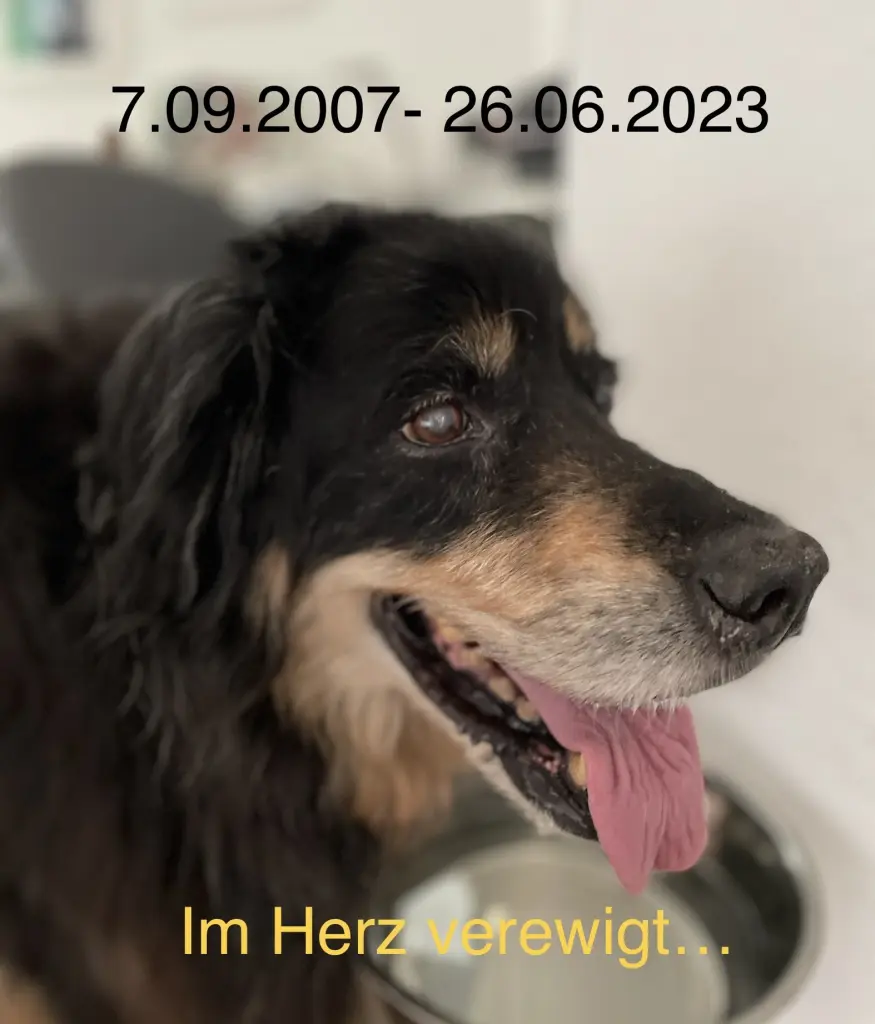 Condolence image of Wilfried 