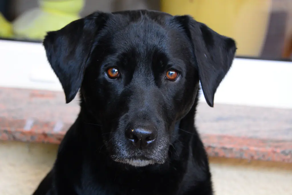 Condolence image of Thorsten und Sabine mit JJ im Herzen 