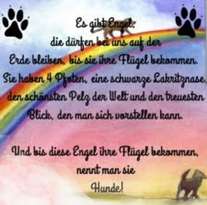 Condolence image of Erika