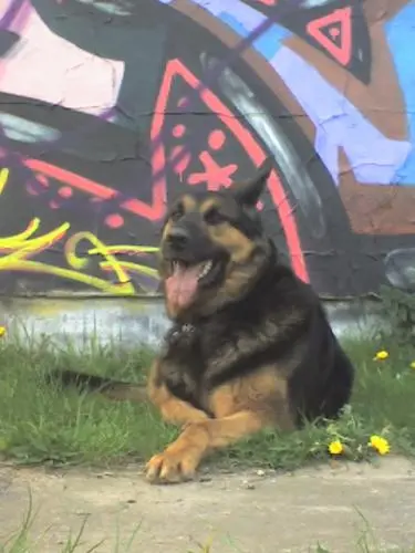 Image from Zeus (meine Keule)