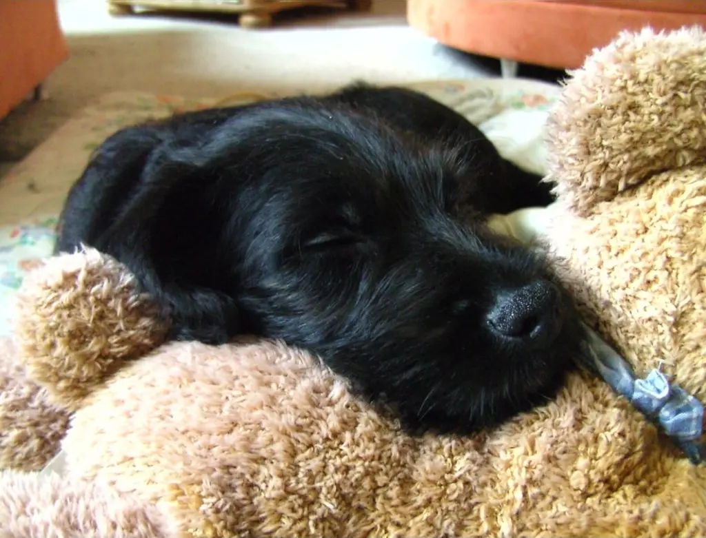 Condolence image of Jutta