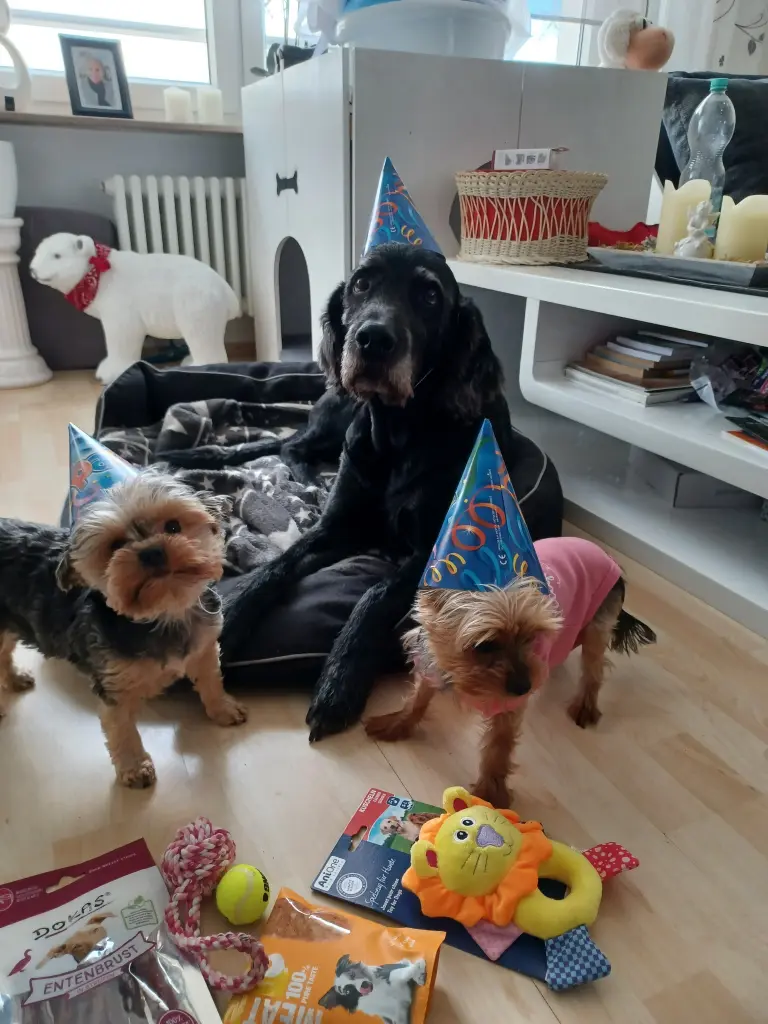 Condolence image of Steffi