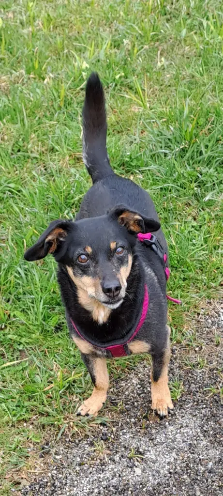 Condolence image of Kerstin und Thomas