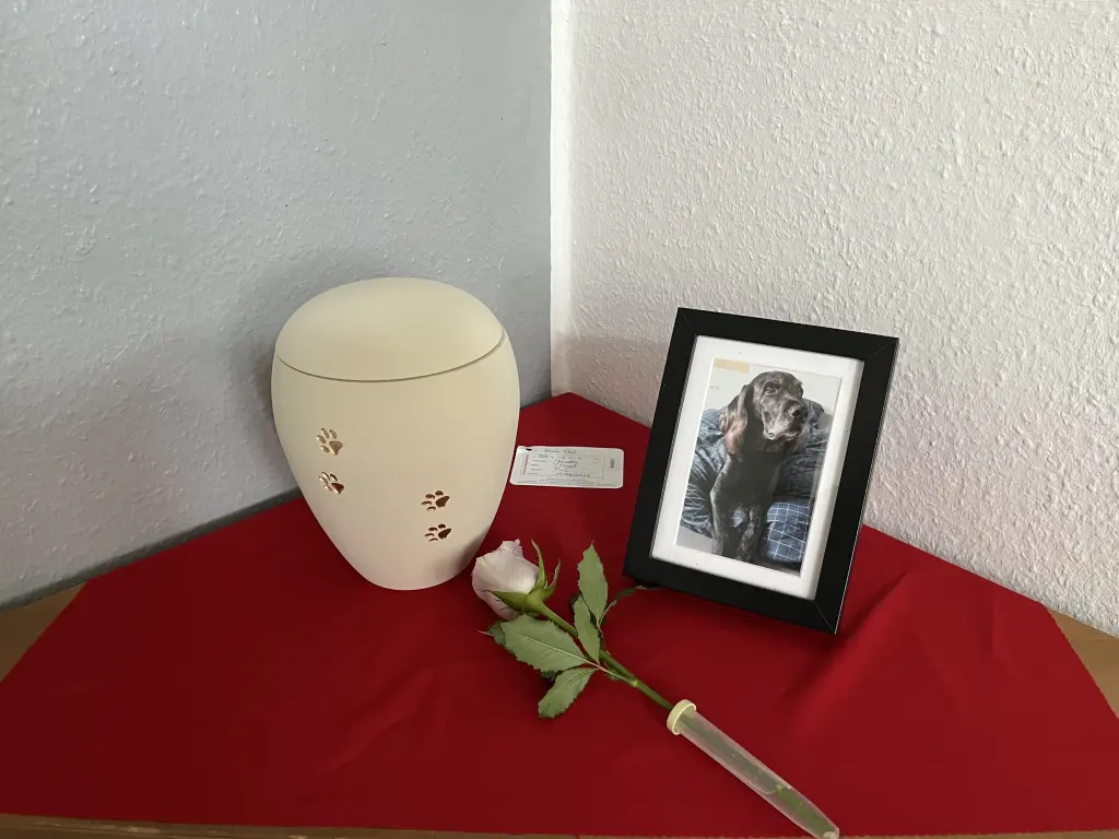 Condolence image of Frederic