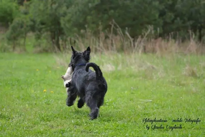 Condolence image of Inge