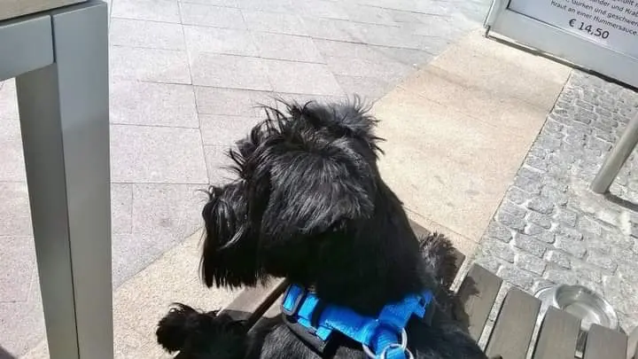 Condolence image of ,