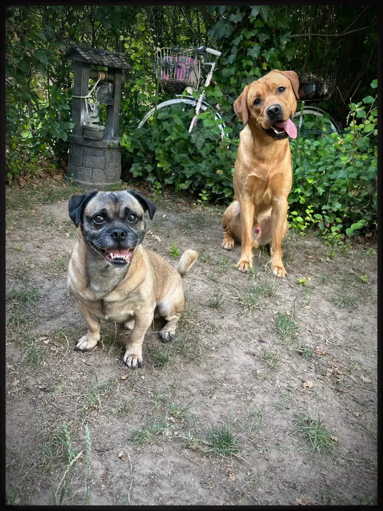 Condolence image of Isabelle 