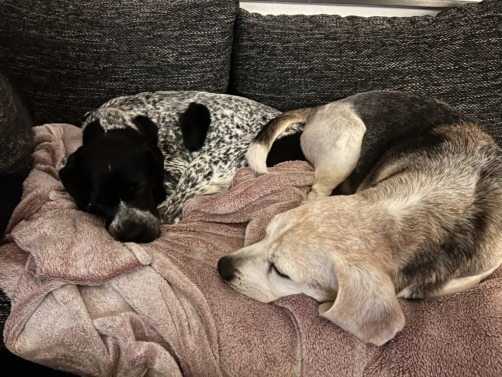 Condolence image of Carina und Nami