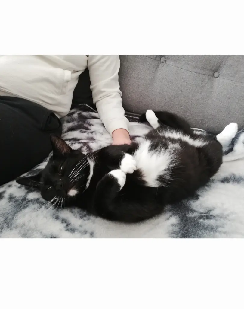 Image from Flöckchen