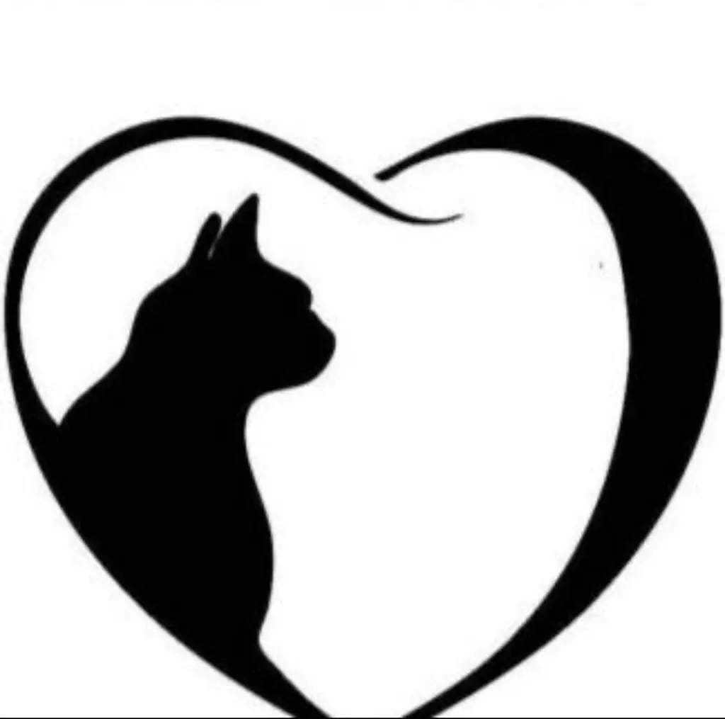 Condolence image of Andrea mit Mausi im Herzen 