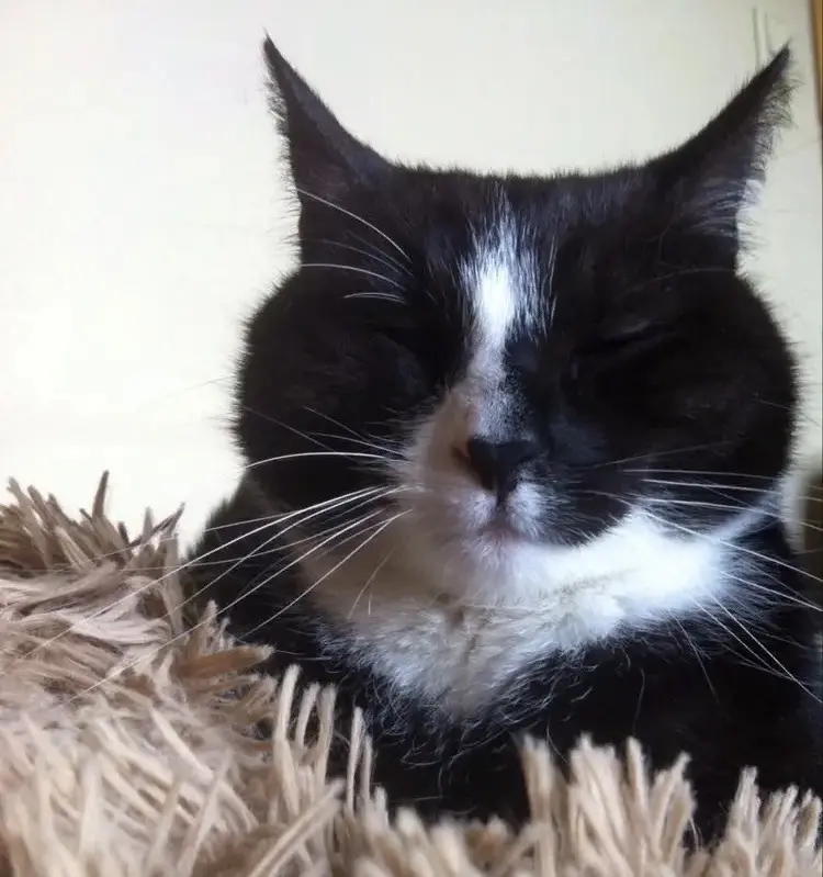 Condolence image of Anna