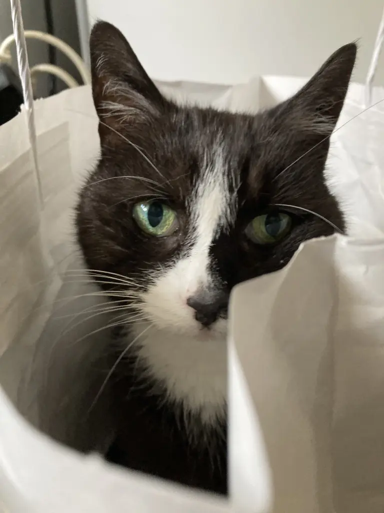 Condolence image of Anna