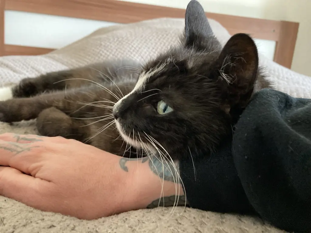 Condolence image of Anna