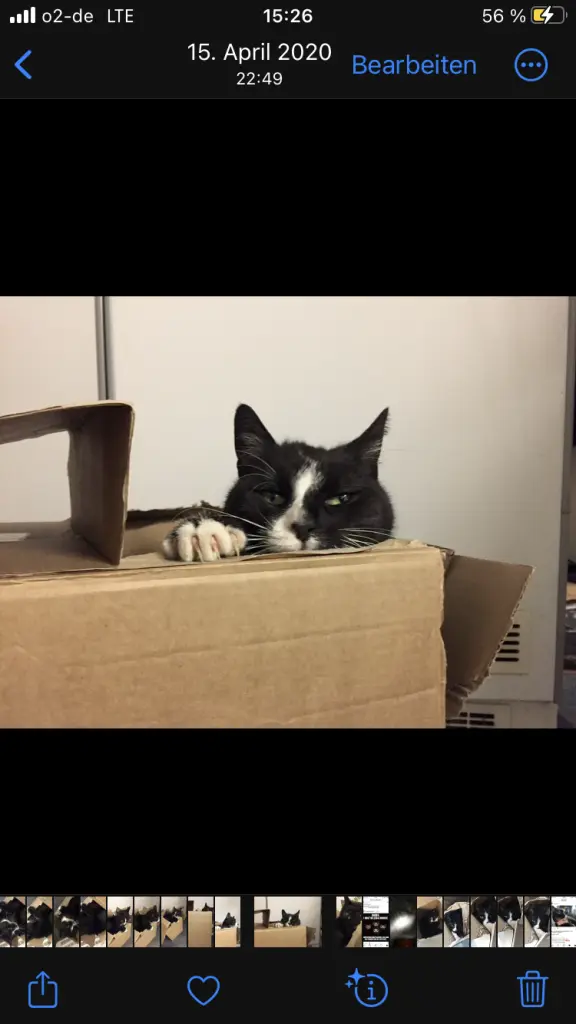 Condolence image of Anna