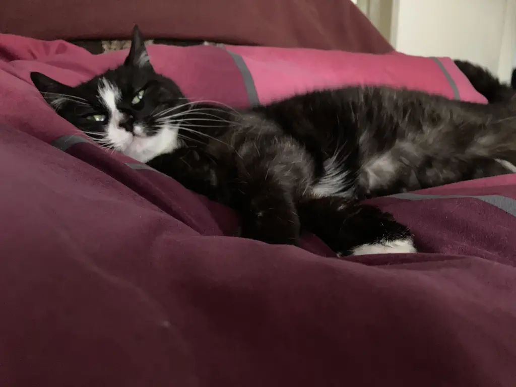 Condolence image of Anna