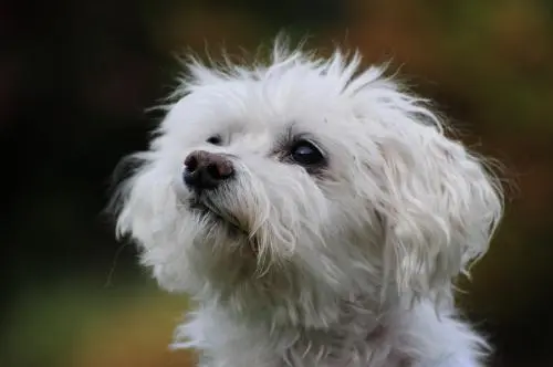 Image from Unbekannt