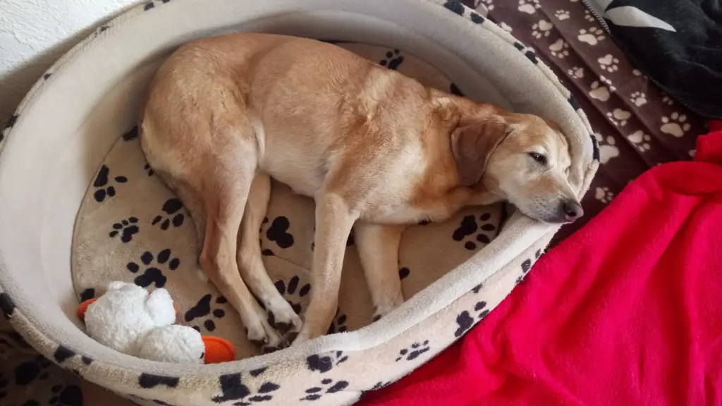 Condolence image of Erika und Valentina, +18.04.2023 