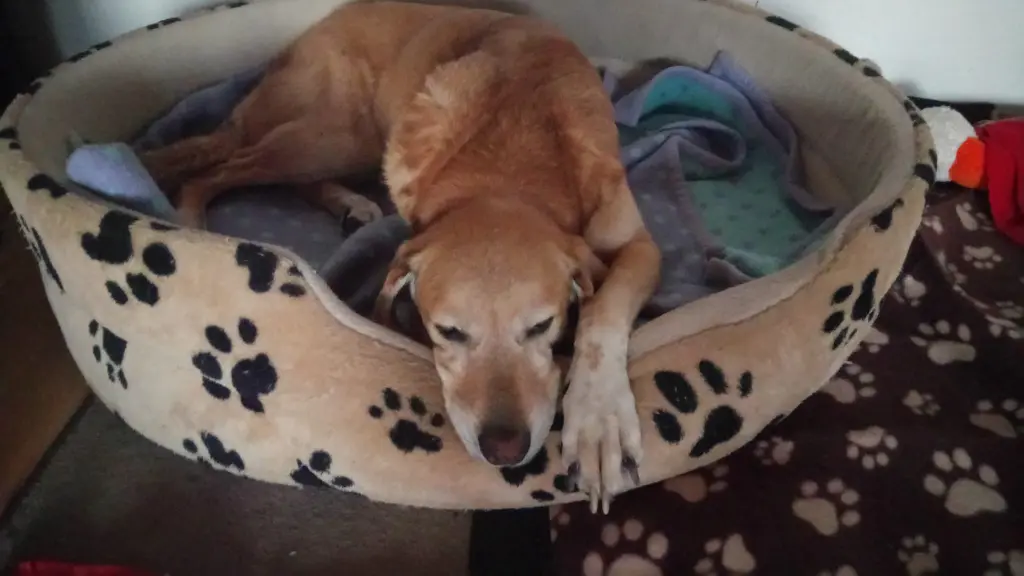 Condolence image of Erika und Valentina, +18.04.2023