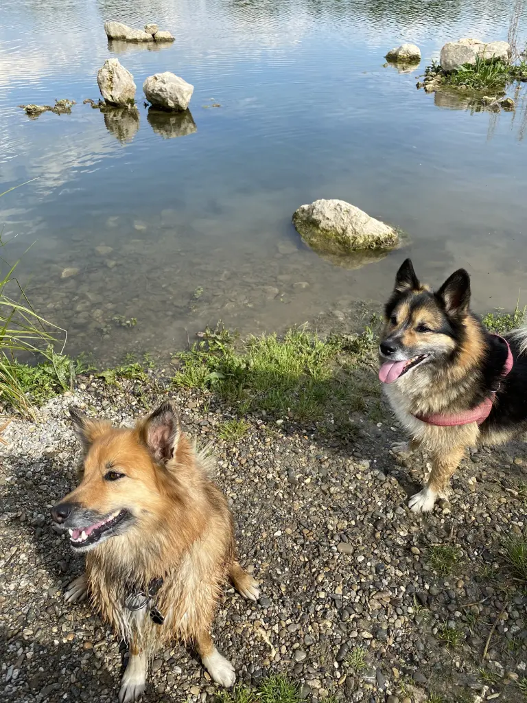 Condolence image of Darina Freundin von Coco