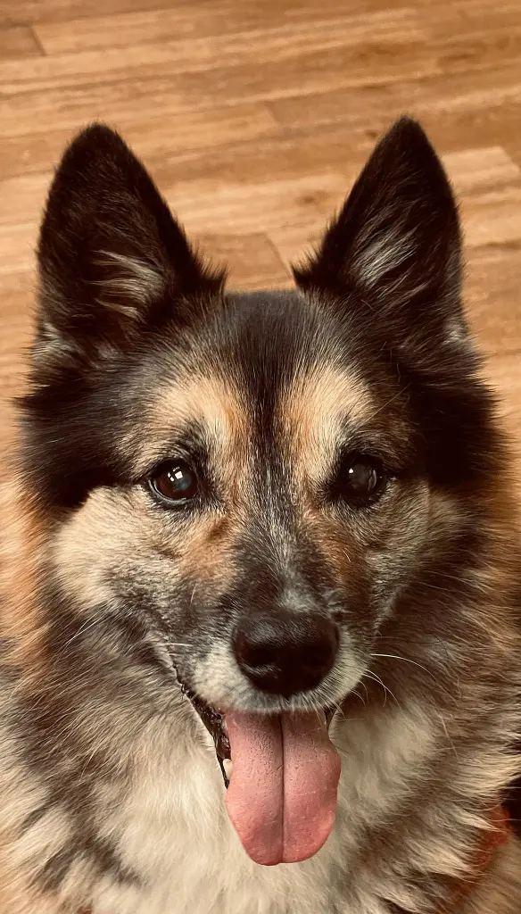 Condolence image of Andrea 