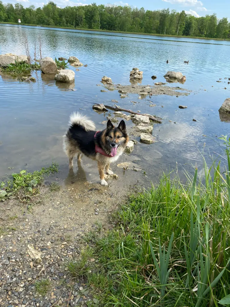 Condolence image of Andrea 