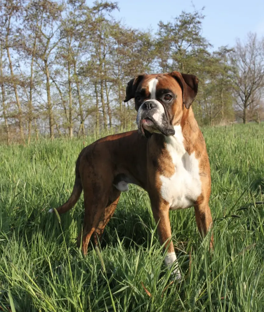 Condolence image of Karina und Jörg mit Floyd  im ♥️