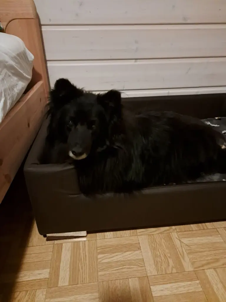 Condolence image of Manuela