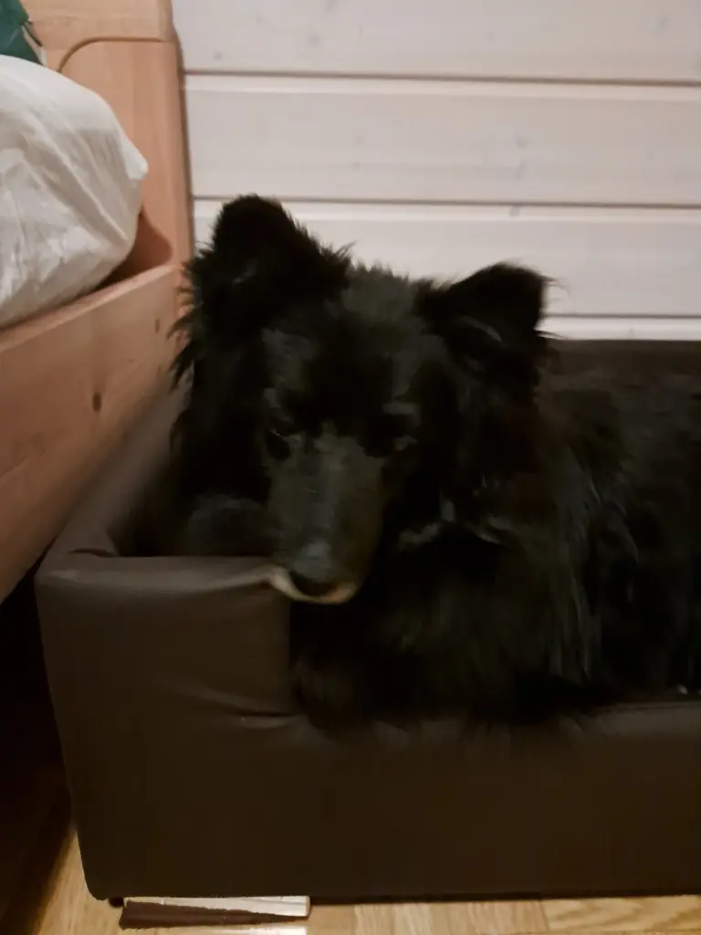 Condolence image of Manuela