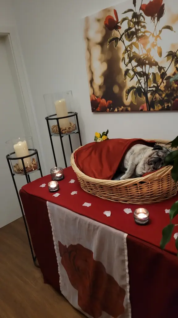 Condolence image of Katharina  Mertens 