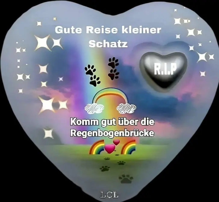 Condolence image of Martina mit Seelenhund Samy ♥️⭐♥️ für immer im Herzen