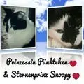 Andachtsbild von Annemarie und Elke mit Snoopy im Herzen gest.04.01.2022 und Pünktchen 