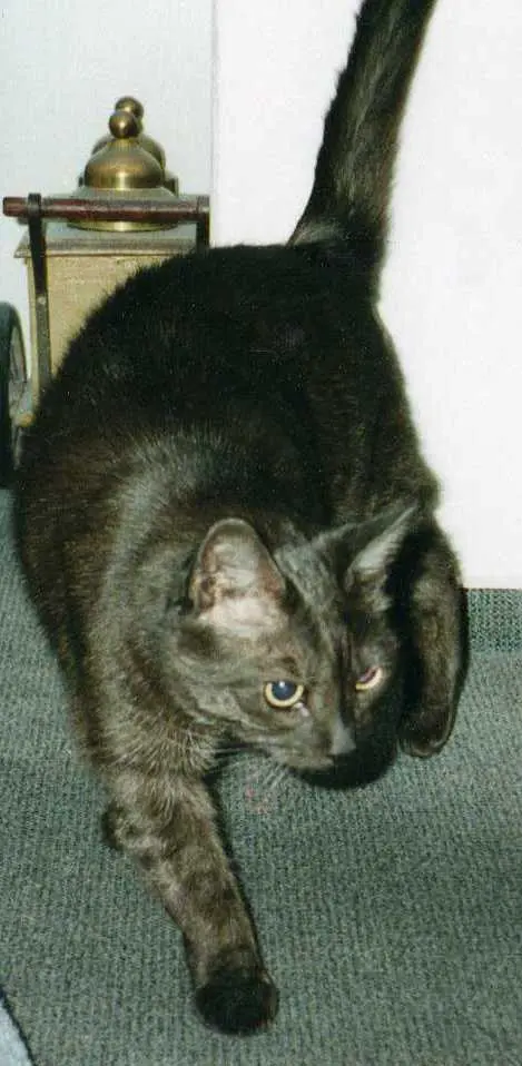 Condolence image of deiner Ilse in Liebe