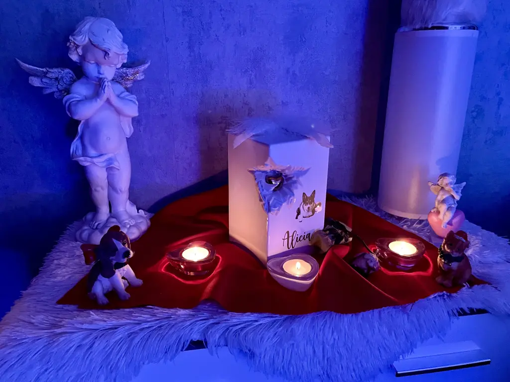 Condolence image of Sven  Brinckmann 