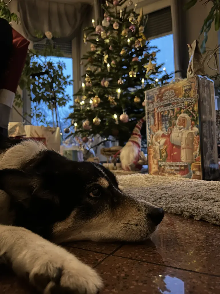 Condolence image of Lukas