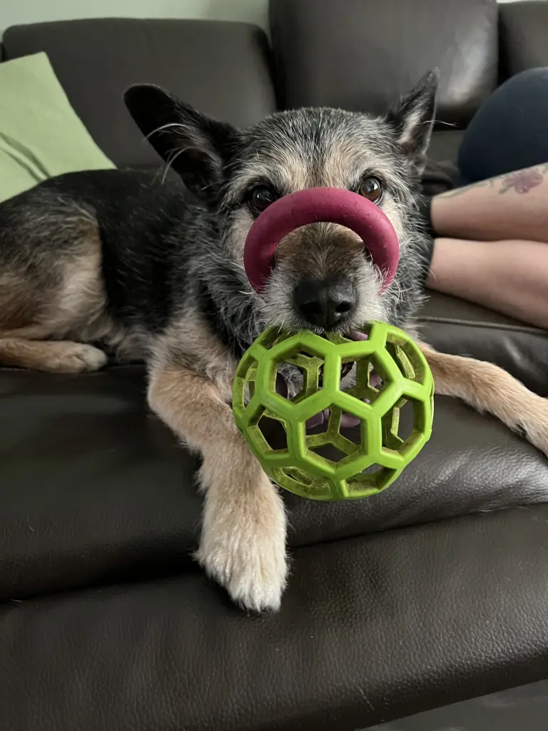 Condolence image of Serge