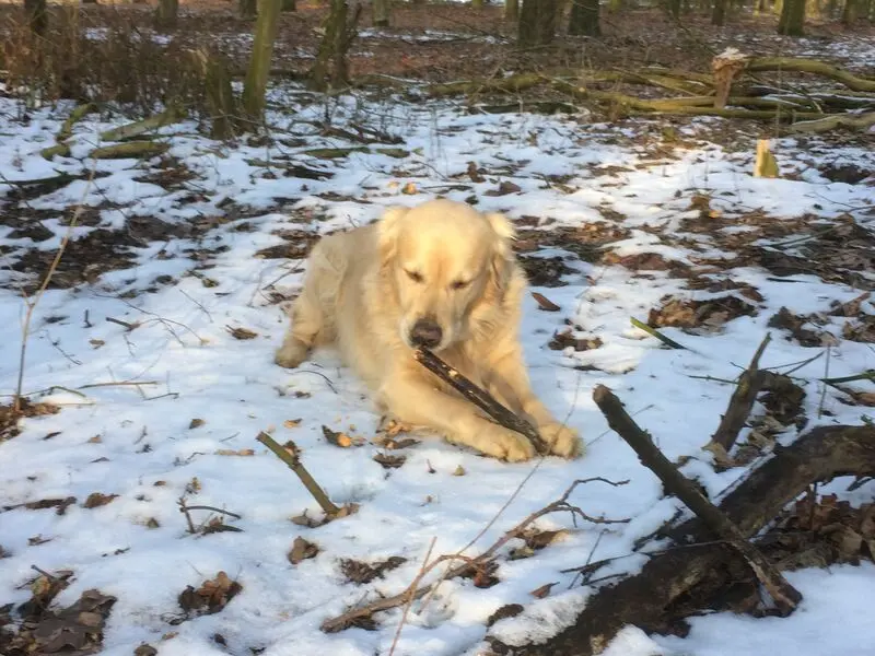 Condolence image of Andy und Piet