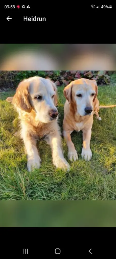 Condolence image of Heidrun