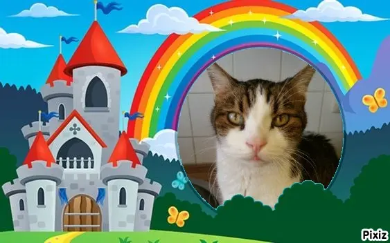 Condolence image of Tanja mit Timmy im Herzen 