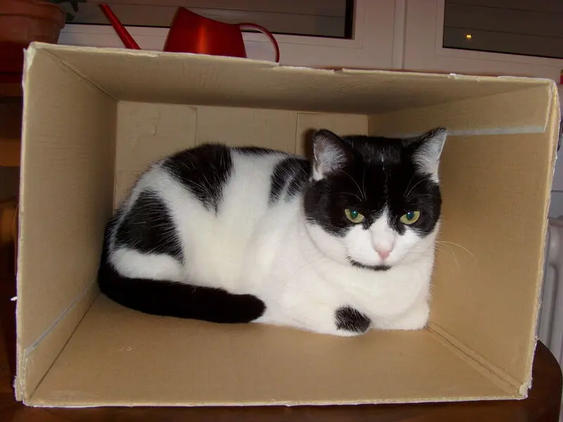 Condolence image of Ursula Krause