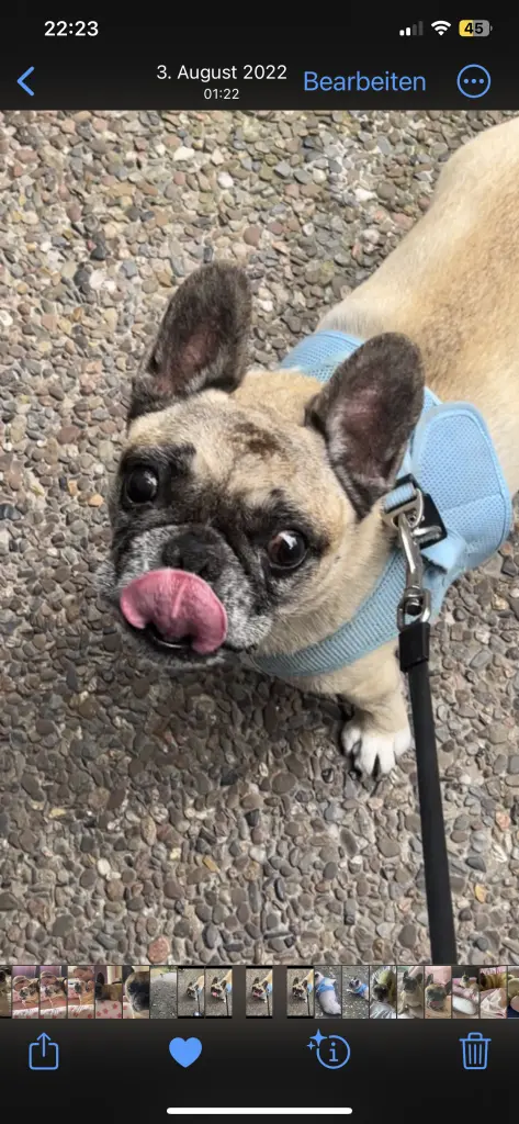 Condolence image of Jessytyson