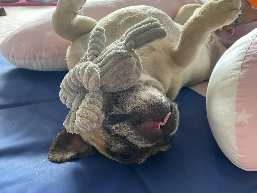 Condolence image of Jessytyson