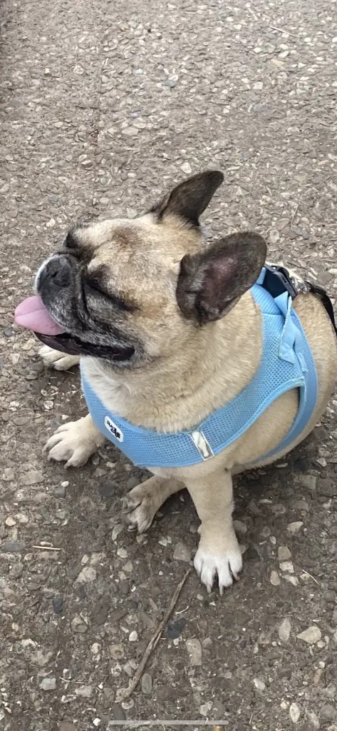 Condolence image of Jessytyson