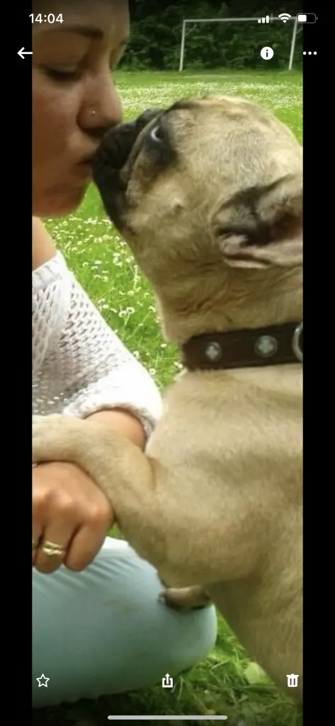 Condolence image of Unbekannt