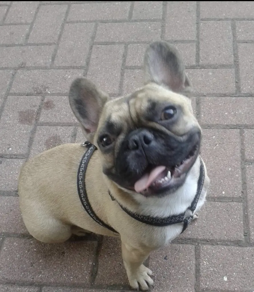 Condolence image of Jessytyson 