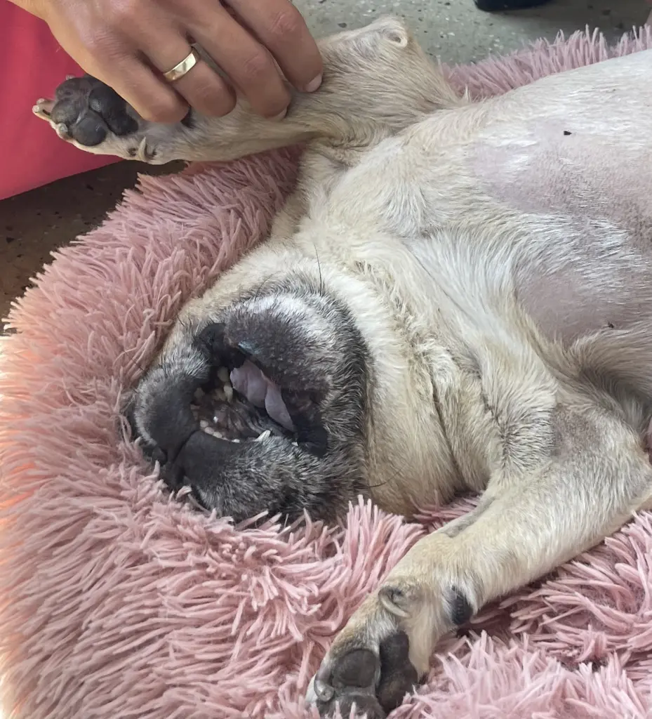 Condolence image of Jessytyson