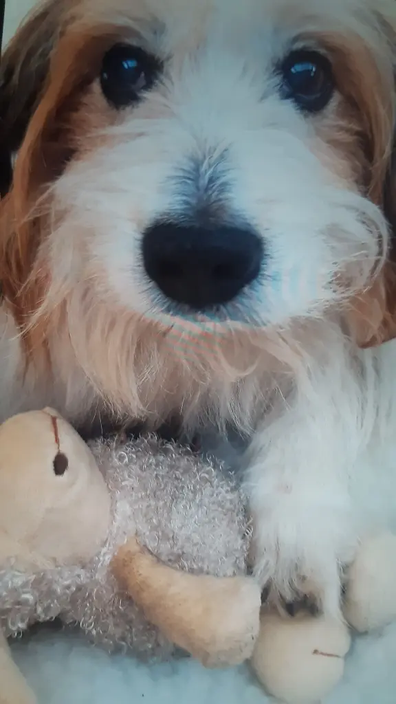 Condolence image of Christiane