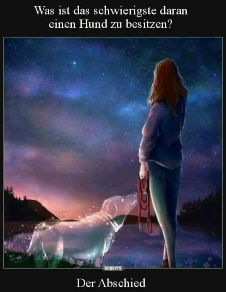 Condolence image of Frauchen