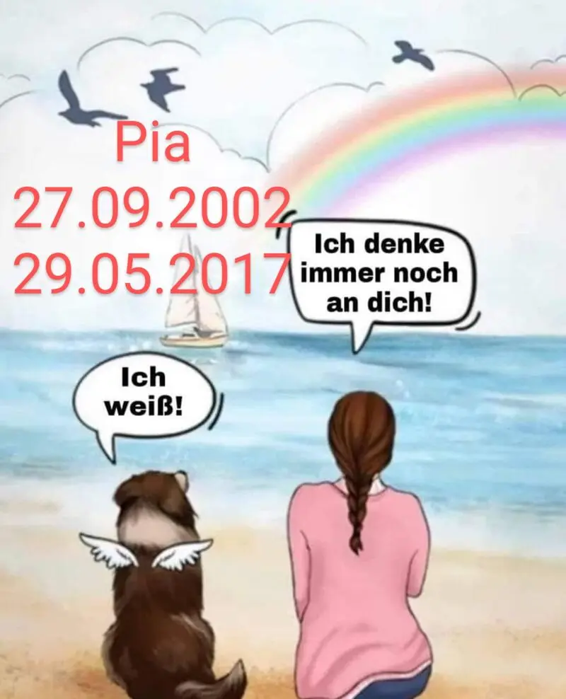 Condolence image of Dein Frauchen