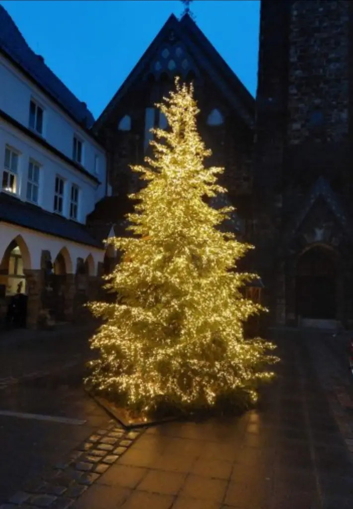 Condolence image of Unbekannt